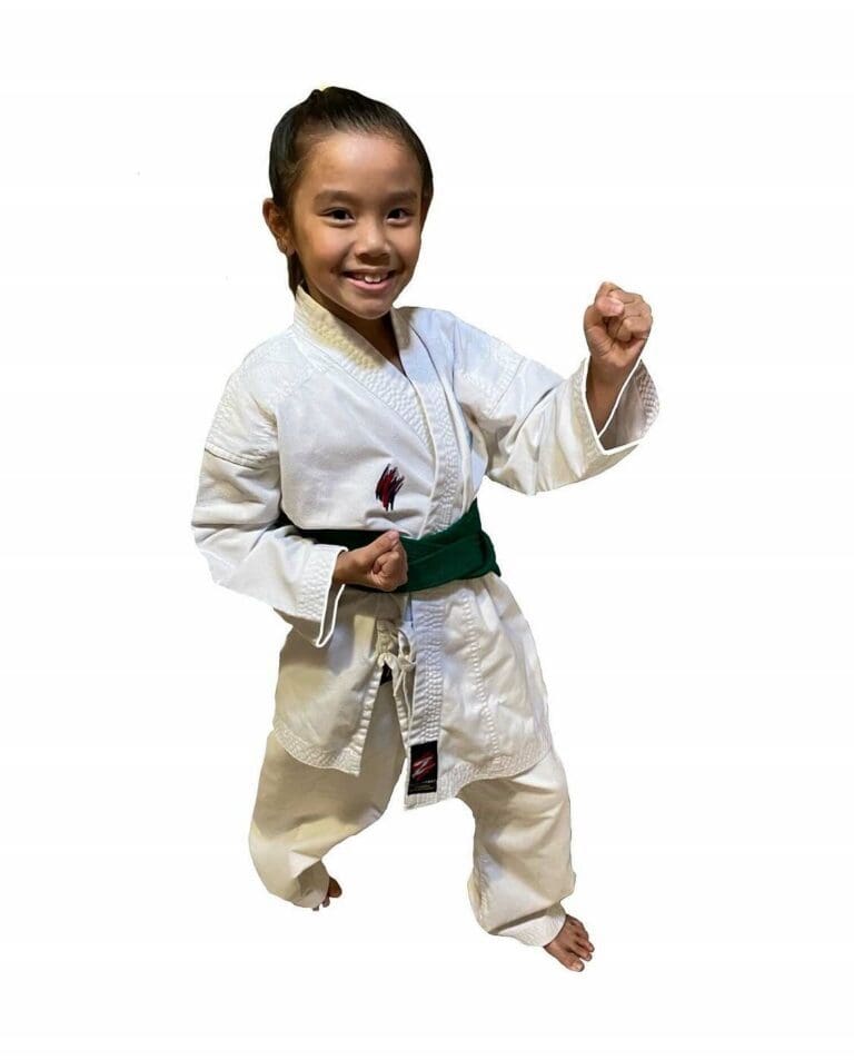 Webp.net Resizeimage 768x953, USA Karate Academy, Inc.